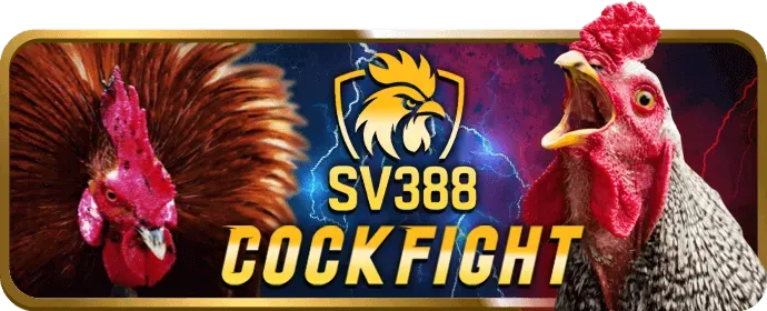 Câu lạc bộ VIP du88 nhà cái